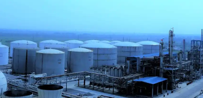 海口阳米网络科技网站建设与网络搭建服务技术方案对比分析